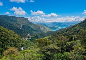 a view of a valley with trees and a lake at Queens Ark in Nallathanniya
