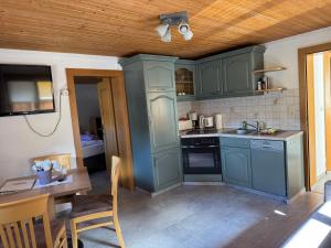 a kitchen with green cabinets and a wooden ceiling at Pension Embacher GmbH & Co KG in Viehhofen