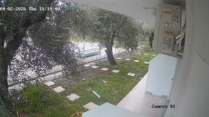 a view from a window of a yard with a tree at VasilikiApartments in Vasiliki