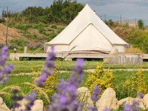 a marquee tent in a field with purple flowers at ILLU Glamping in Trebujeni