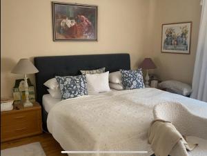 a bedroom with a large bed with blue and white pillows at Bergblick in Schwaz
