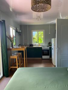 a kitchen with green cabinets and a kitchen with a table at Fare Maraea in Moorea +20 photos