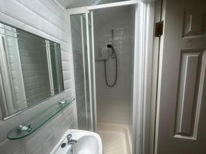 a bathroom with a shower and a sink at Charming 1Bed Flat In Dublin Sleeps 2 in Dublin
