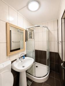 a bathroom with a sink and a shower and a toilet at Casa Maxim Eforie Nord in Eforie Nord