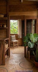 a living room with a plant and a window at Paxel Forest in San Lorenzo El Cubo