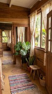 a living room with a plant and a window at Paxel Forest in San Lorenzo El Cubo