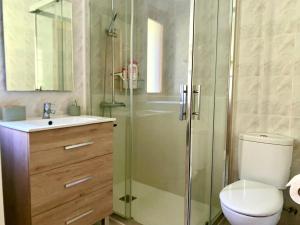 a bathroom with a shower and a toilet and a sink at Ekhiola Txiki in Ochagavía