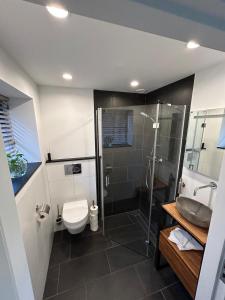 een badkamer met een douche, een toilet en een wastafel bij Luxe Tiny House Ooij in Ooij