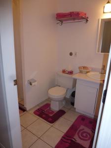 a small bathroom with a toilet and a sink at Little Black Bear Lodge/B&B in Bridge Lake