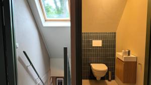 a small bathroom with a toilet and a window at Huisje 47 | 8 persons in Gasselte