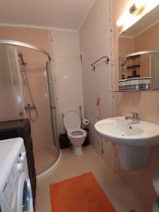 a bathroom with a shower and a toilet and a sink at Comfy Home in Pomorie