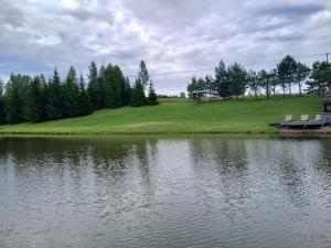 a grassy hill with a bench next to a lake at GLaMPLIFE,tünni ja suitsusaunaga in Kasaritsa +2 photos