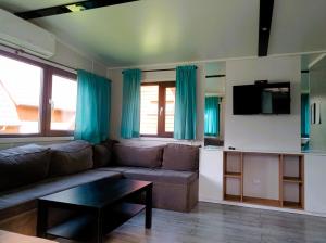 a living room with a couch and a tv at Czocha Holiday in Leśna