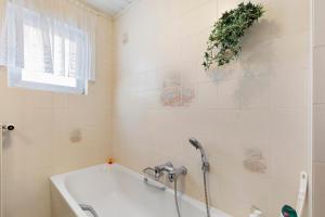 a bathroom with a bath tub with a plant on the wall at Landidylle – Nostalgie in Ortenberg +24 photos