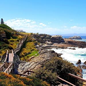 a stairway leading down to a beach with the ocean at Little Tara Cottage in Hermanus