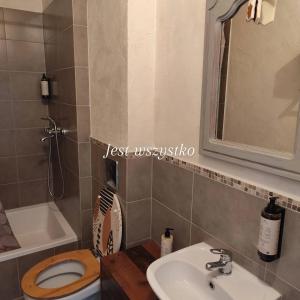 a bathroom with a sink and a toilet and a mirror at Nie Samym Chlebem in Poborszów +30 photos