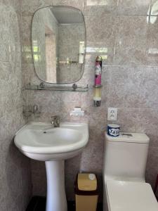 a bathroom with a sink and a mirror and a toilet at Meerim Guest House in Bokonbayevo