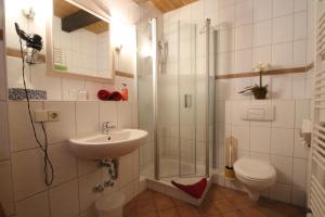 a bathroom with a shower and a sink and a toilet at Die Radler-Scheune in Burg +40 photos