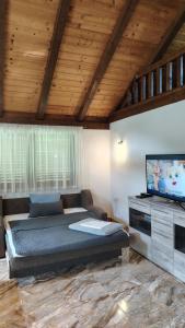 a bedroom with a bed and a flat screen tv at Holiday house Bliss in Kumrovec