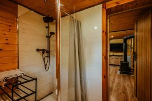 a bathroom with a shower and a glass door at Stachowa Chata Guciów in Guciów +25 photos