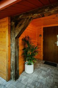 a plant in a white pot next to a wooden wall at Stachowa Chata Guciów in Guciów