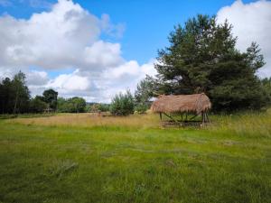 a field with a grass hut in a field at Barn Suite in Valga +4 photos