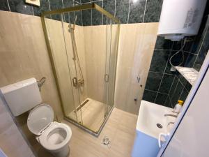 a bathroom with a shower and a toilet and a sink at Apartmani Ličina in Bečići