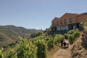 a person sitting on a cart in a vineyard next to a building at Quinta do Roso - Douro Wine Estate - by FERO in Lamego
