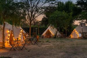 a group of tents with tables and chairs in front at Kampaoh El Rocío in El Rocío