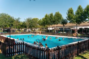a group of people swimming in a swimming pool at Kampaoh El Rocío in El Rocío