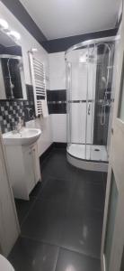 a bathroom with a shower and a sink at Breakpoint Loft - City Center in Łobez