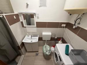 a small bathroom with a toilet and a sink at Carlos Apartman Kecskemét in Kecskemét