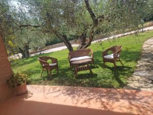 three chairs sitting in the grass under a tree at Linda's Retreat in Fiano Romano +31 photos