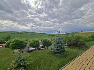 a view of a yard with a christmas tree and cars at La Hacienda in Cheţani