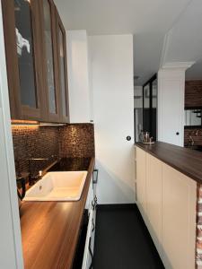 a small kitchen with a sink and a counter at Podróżnik in Oświęcim