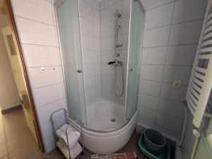 a bathroom with a shower and a toilet in it at Biały domek przy Hajnówce in Dubiny