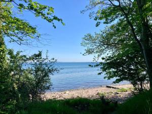 a view of the ocean from a beach with trees at Ferienwohnung Kalleby 26 in Quern