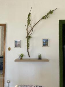 eine weiße Wand mit einem Regal, auf dem ein Ast liegt in der Unterkunft BrameL Suite in Lamezia Terme