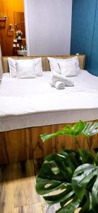 a bed with white sheets and a plant in a room at HALAL apartments in Tashkent city, Metro in Aktepa-Chigatay