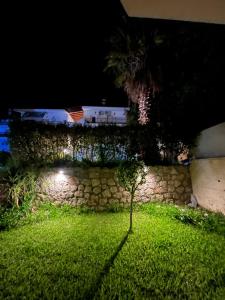 a tree in the middle of a yard at night at KallitheaDeluxe in Kallithea Halkidikis +2 photos