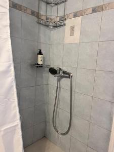 a shower with a shower head in a bathroom at Almyra Home in Kyparissia +20 photos