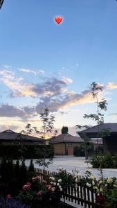 a kite flying in the sky over a garden at Cottage on Issyk-Kul, Royal Beach in Chok-Tal