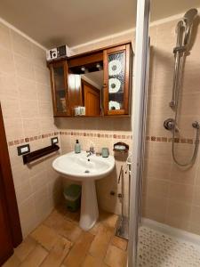 a bathroom with a sink and a shower at DiVa in Castelnuovo di Farfa