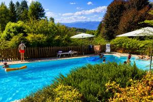 a group of people swimming in a swimming pool at Green Hill Property in Besozzo