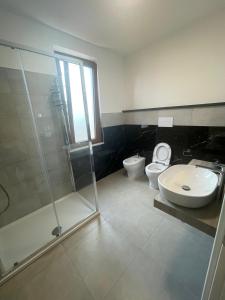 a bathroom with a toilet and a sink and a shower at B&B Dosti in Scafa