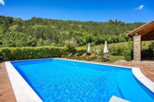 a swimming pool in a yard with chairs and umbrellas at Villa Dol in Buzet