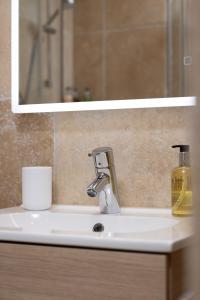 a bathroom sink with a mirror and a bottle of soap at The Ford Apartment in Perth