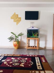 a living room with a fish tank and a tv at La town beach stay in Pondicherry