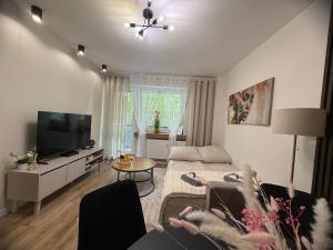a living room with a couch and a tv at Vespera Apartment - Retkinia in Łódź