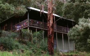 Gallery image of Tall Trees Eco Retreat - Blackwood Cottage in Apollo Bay